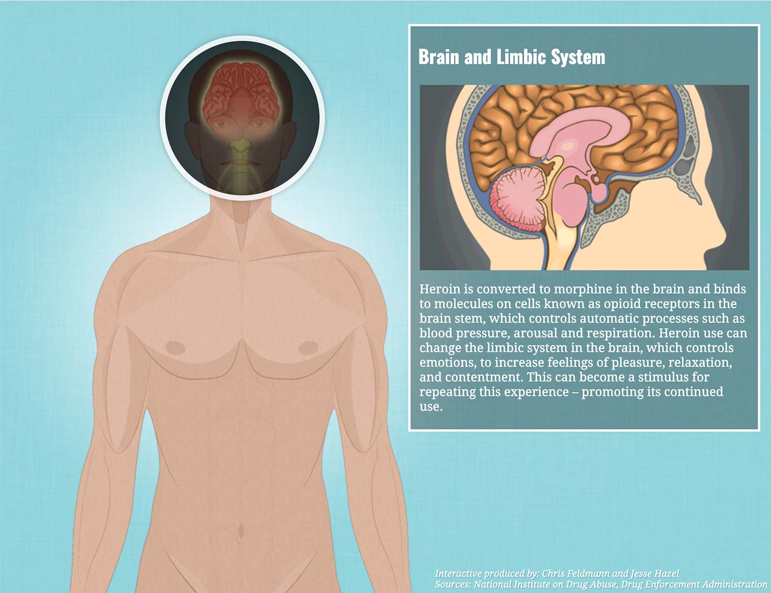 Effects of Heroin 3